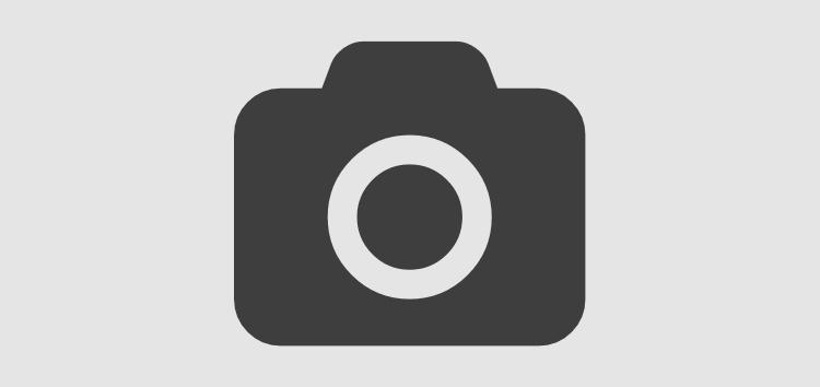 Fifth Article